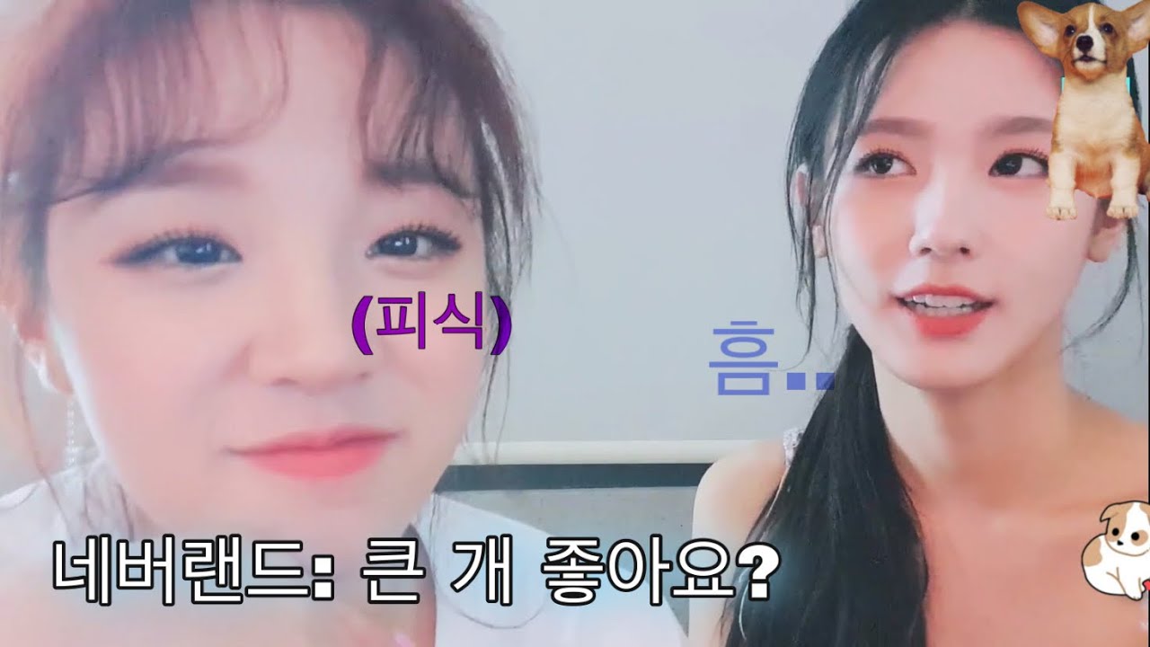 얼굴천재 우기&미연/큰 개는 싫은 미연 그게 웃긴 우기