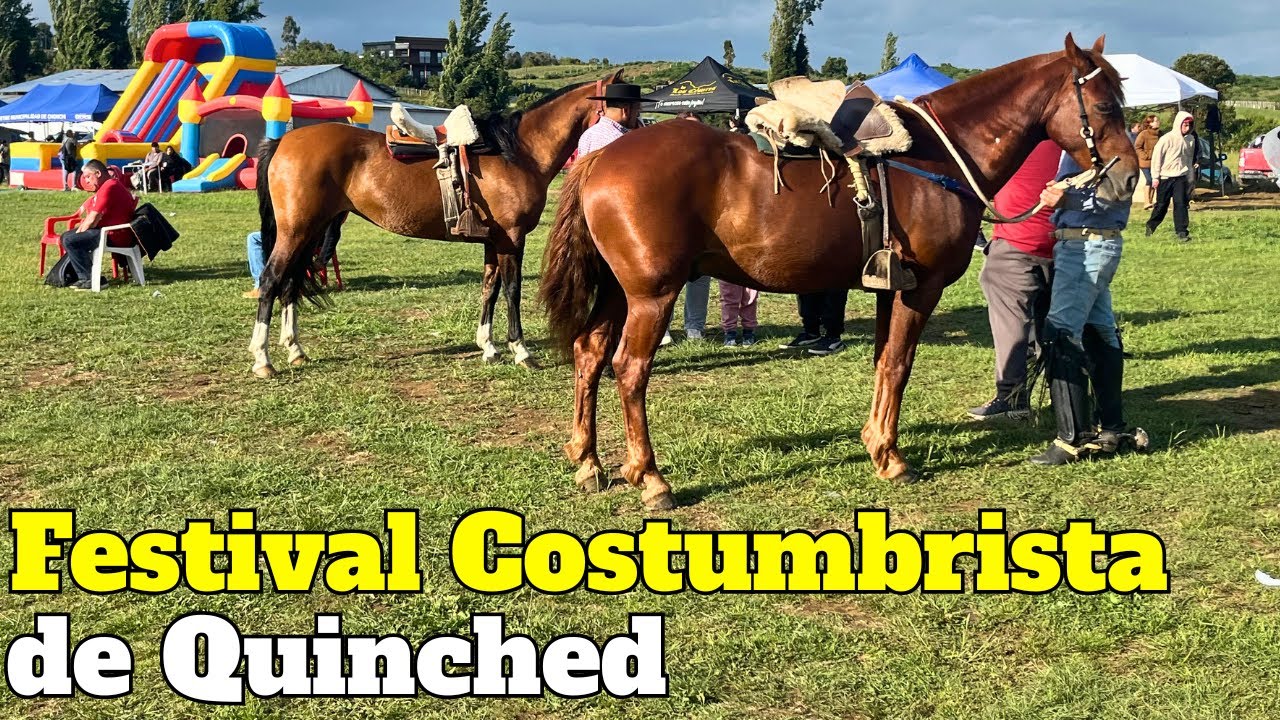 Recorrido por el primer FESTIVAL COSTUMBRISTA de Quinched, comuna de Chonchi 🐎🍖🌳🇨🇱 