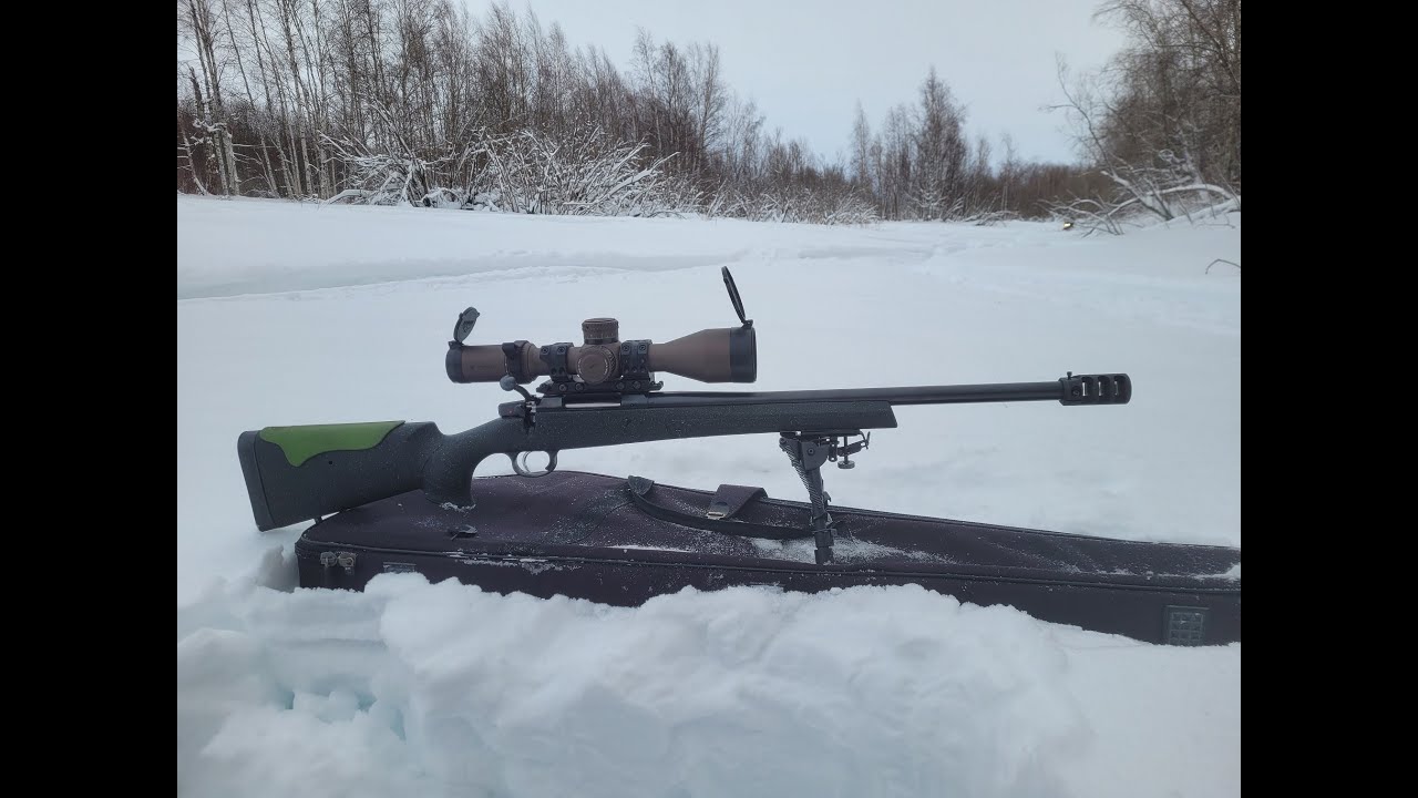 CZ 557 Varmint 308 win Пристрелка на 100м