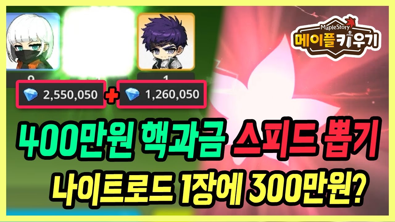 【메이플 키우기】 미쳐버린 핵과금 뽑기ㄷㄷ 동료 나로 한장에 300만원을..
