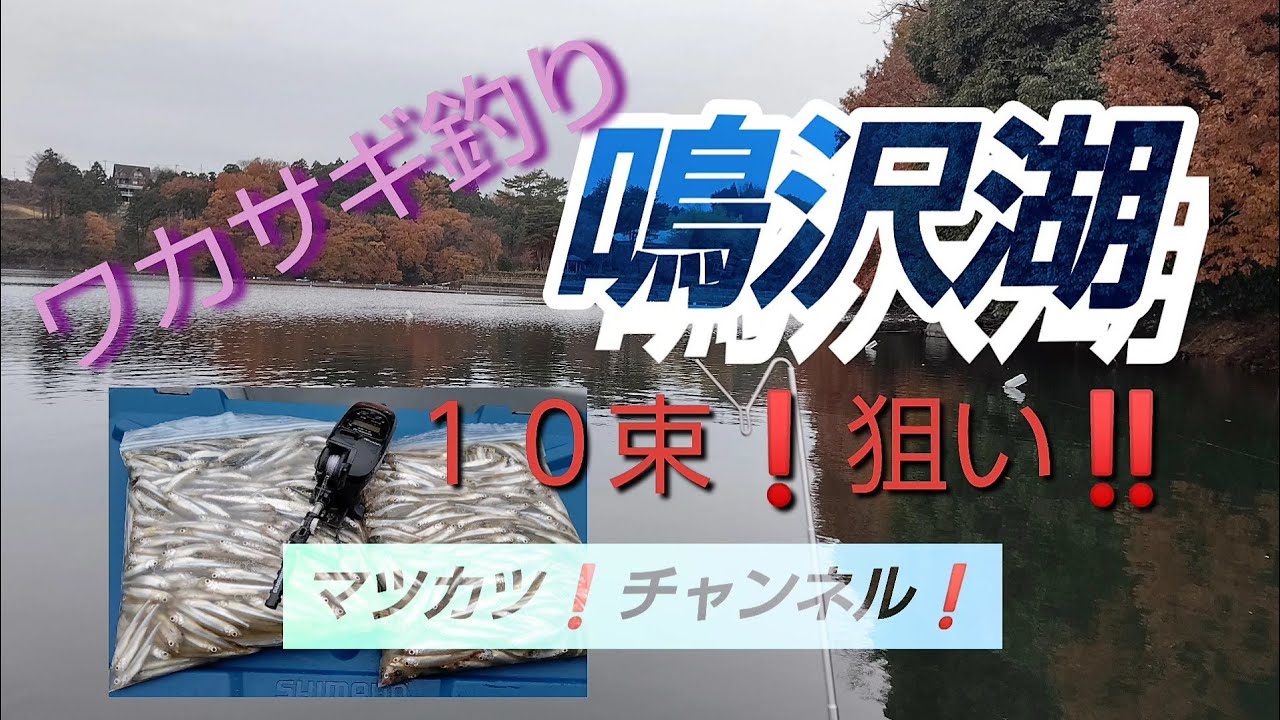 １０束❗️狙い❗️鳴沢湖ワカサギ。