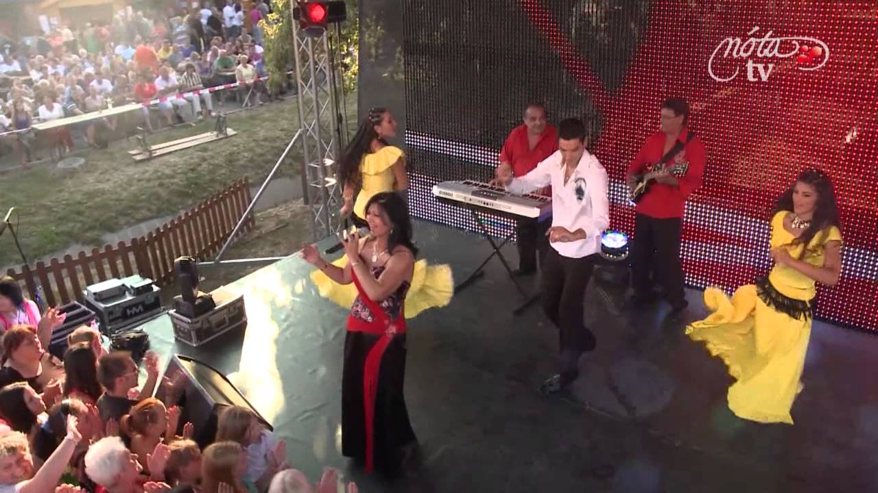 Balogh Tünde és a Tűz Rózsak - Pengesd a gitárt (Pertu Parti TV felvétel Nádszeg)
