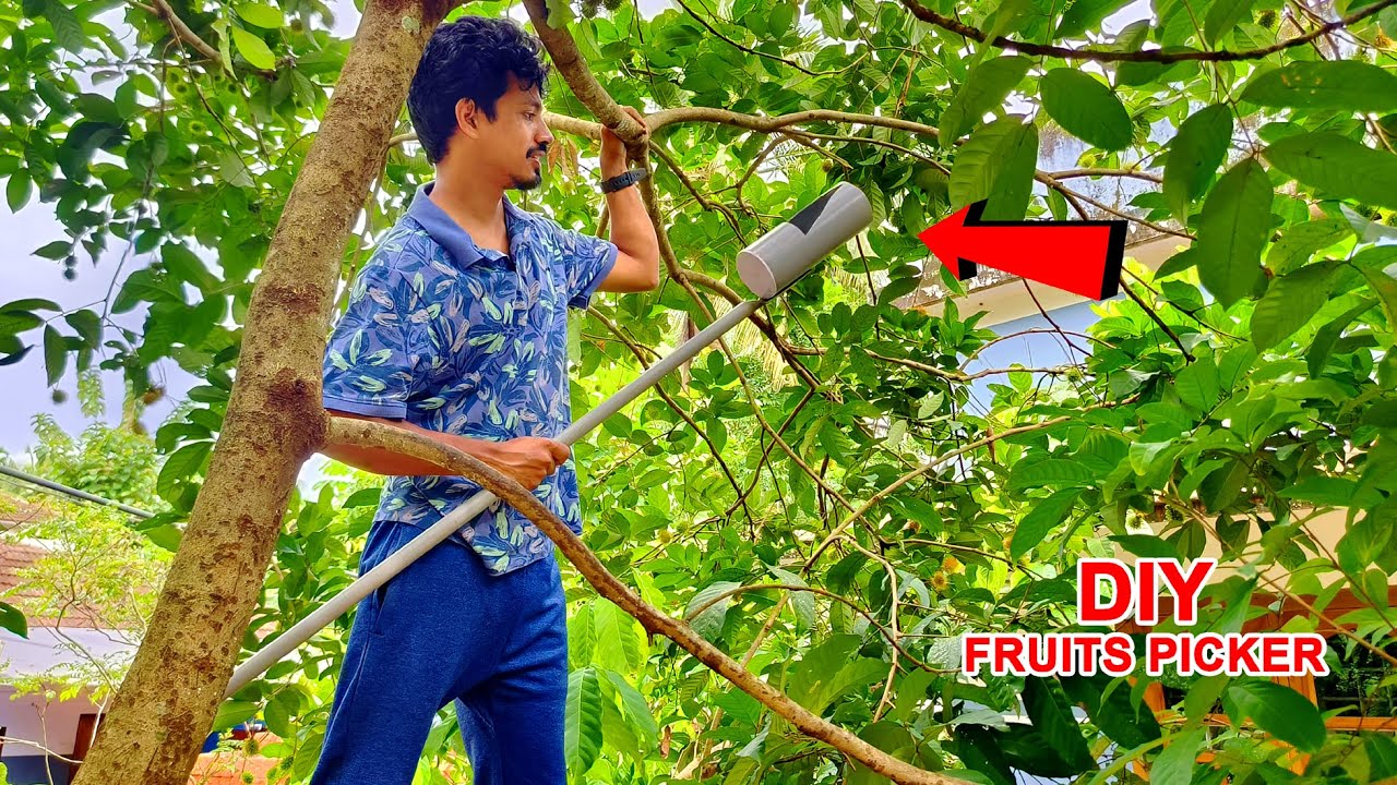 Easy Way to Make Fruit Picker Using PVC Pipe | DIY  Fruits Picker