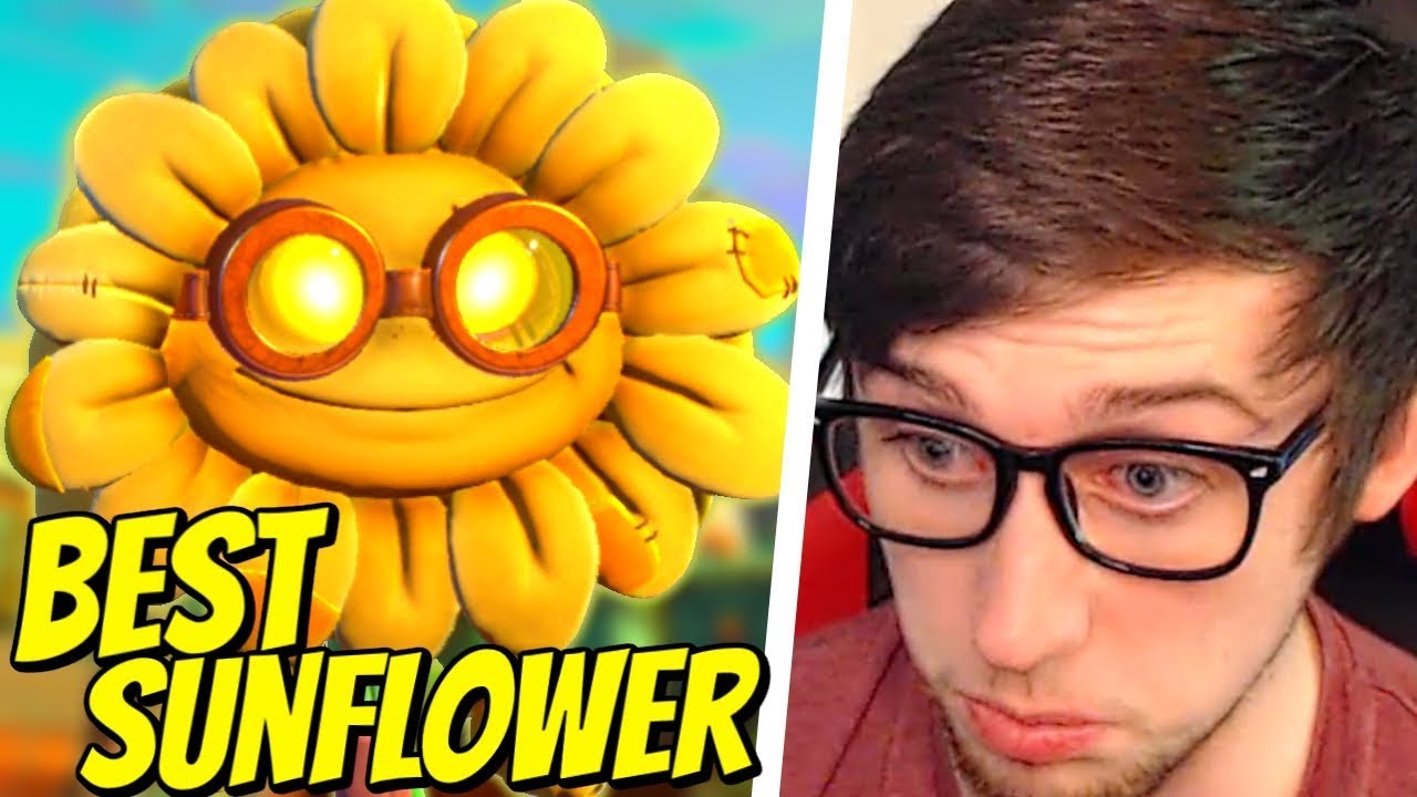 Why Stuffy is the best Sunflower