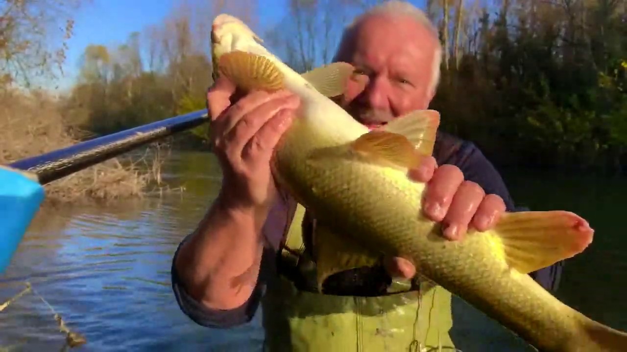 Pescatona al freddo: grande giornata di pesca a passata al Barbo