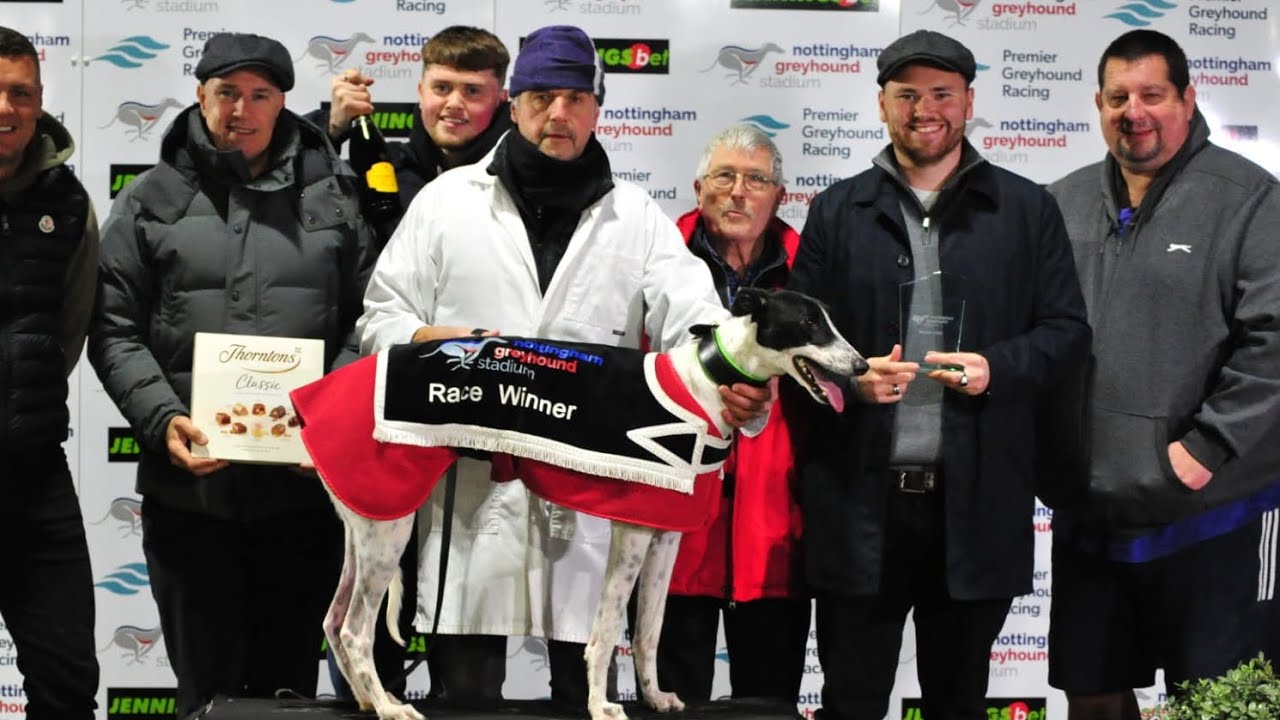 An Honest Day Punting - Nottingham Greyhounds - Eclipse Night
