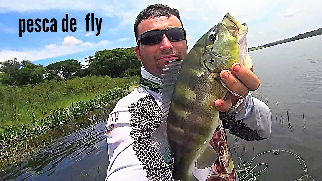 Apalhari e tucunar&eacute; n&oacute; fly Rio Tiet&ecirc;