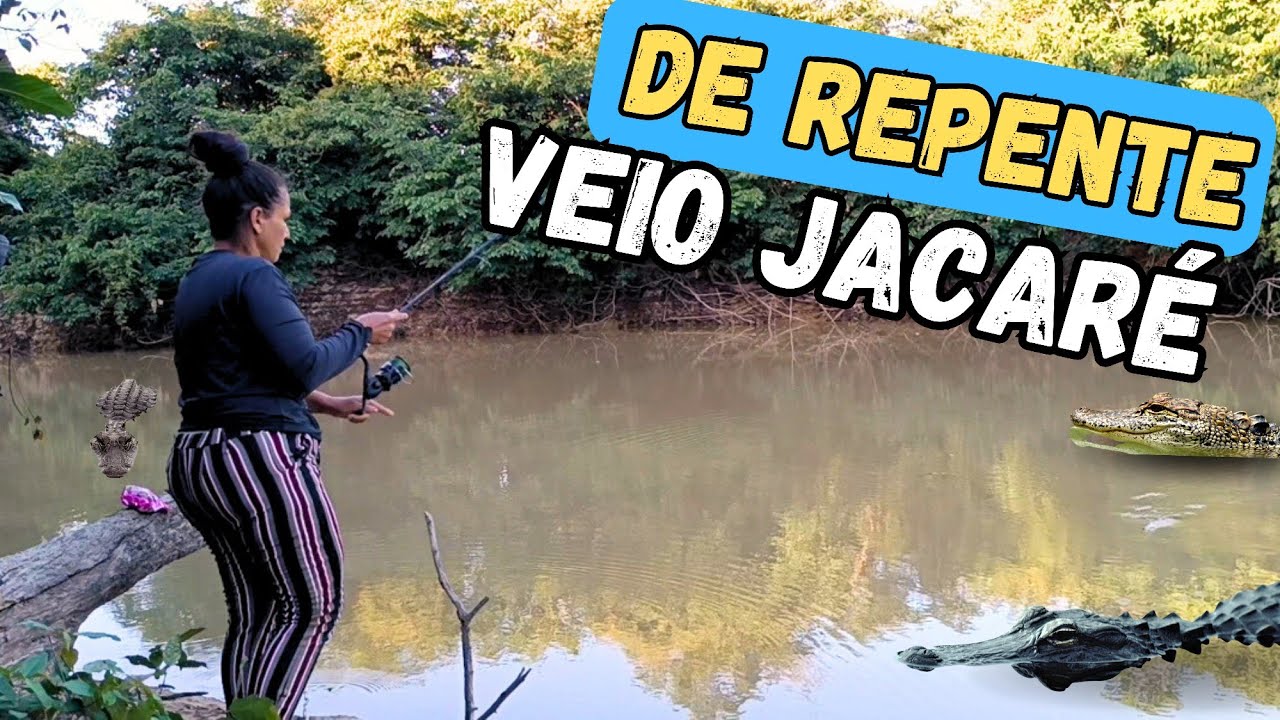 JACARÉ VEIO PERTO DE NÓS.T.02 EP.26