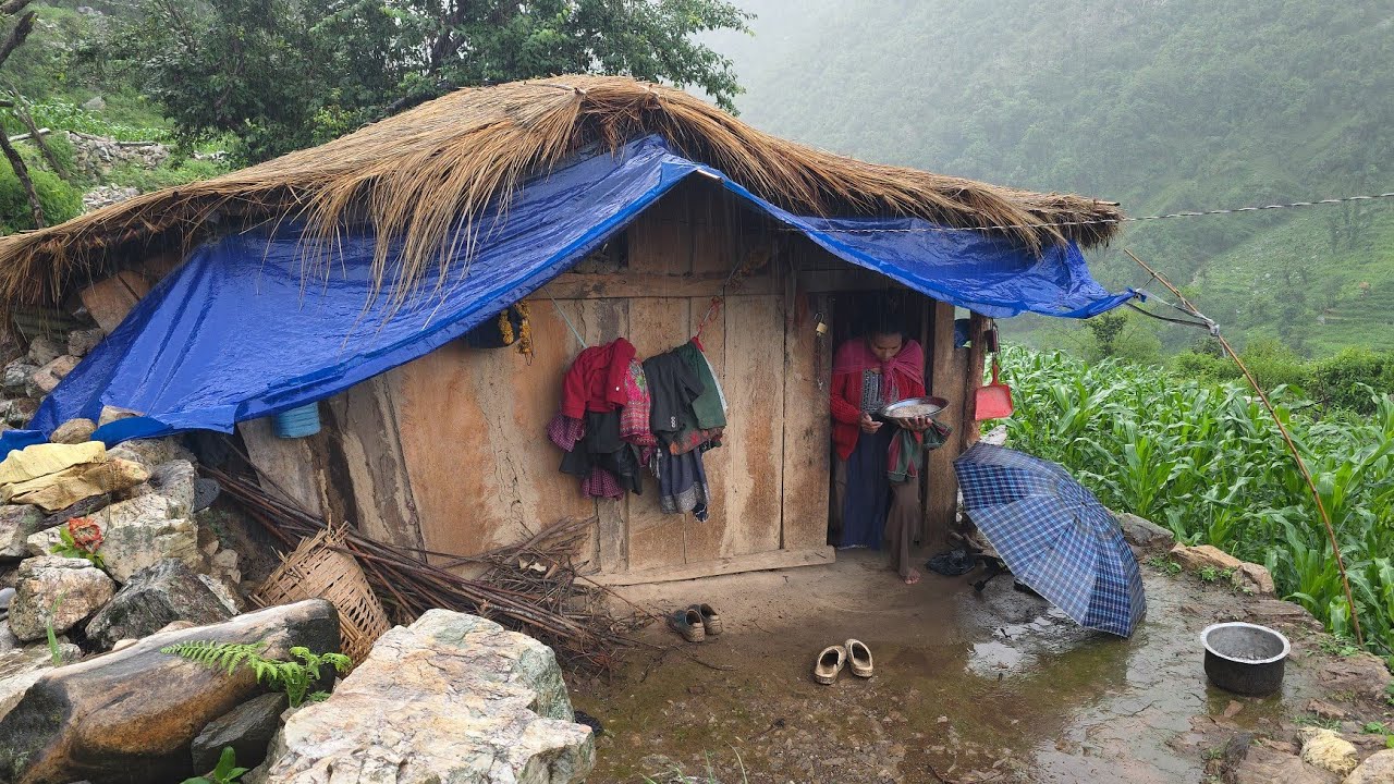 This Is Himalyan Village Life | Heavy Rainy Day | Organic Nature Rural Mountain Village Life Nepal |