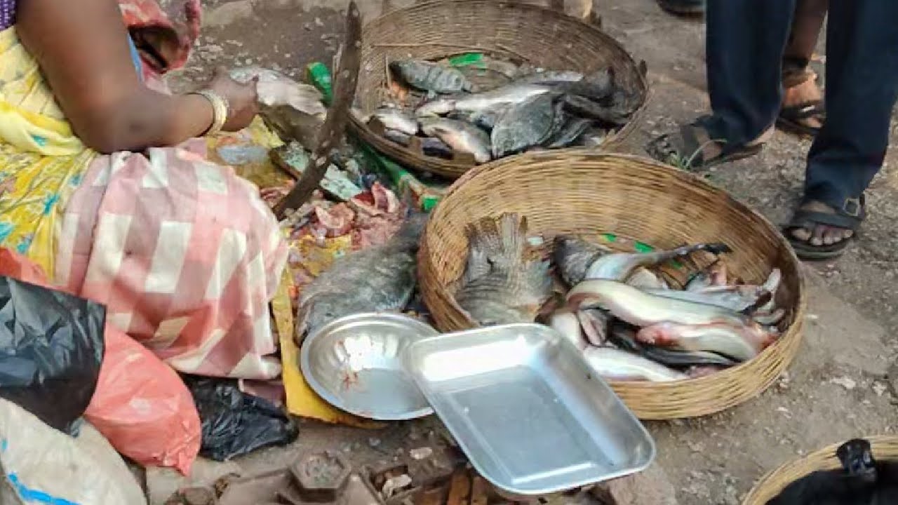 Fish market talegaon 