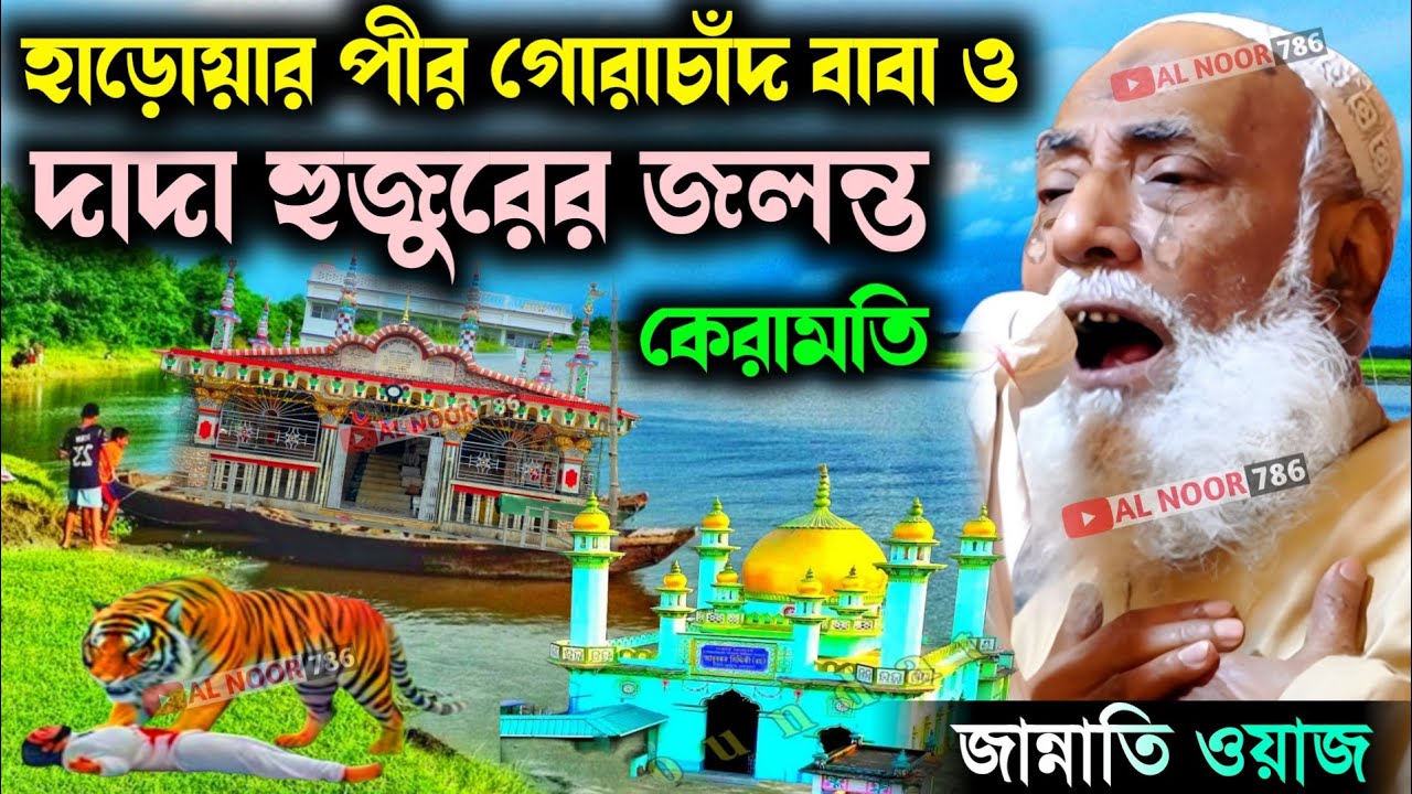 পীর গোরাচাঁদ বাবা ও দাদা হুজুরের জ্বলন্ত কেরামতি┇পীর আল্লামা ওমর সিদ্দিকী ওয়াজ┇ওহ্ জান্নাতি ওয়াজ 