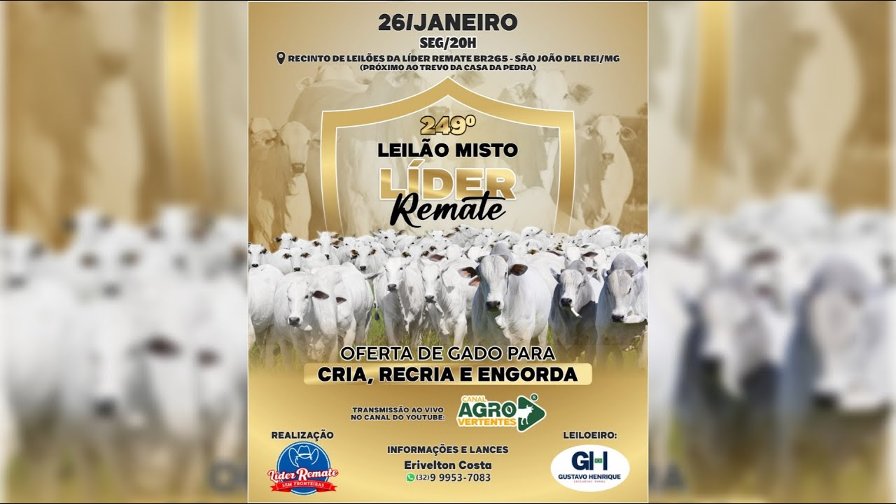 249º LEILÃO MISTO LÍDER REMATE - 26/01/2026