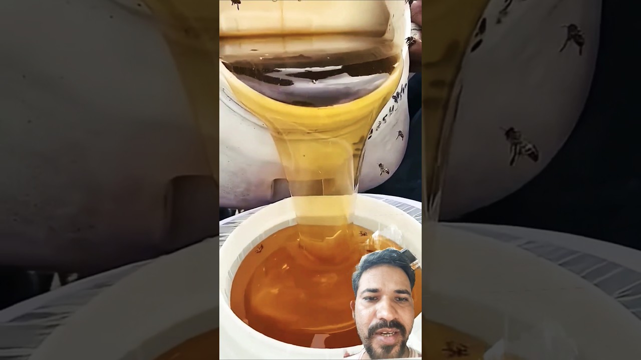 original Bee Honey 