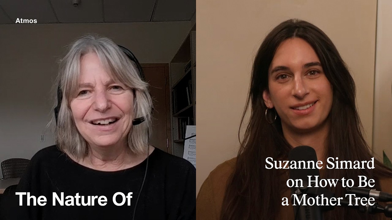 Suzanne Simard: How to Be a Mother Tree