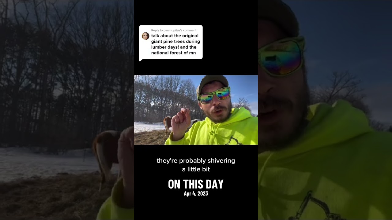 Minnesota’s Lost 40