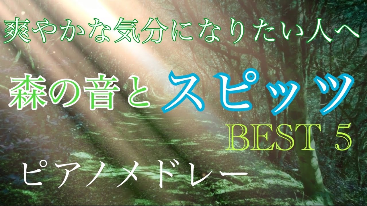 スピッツ  ピアノメドレー  BEST5  森の音【せせらぎと鳥の声】　オリジナルピアノアレンジ 【勉強用・作業用・睡眠用】聴きながら癒される愛と奇跡の周波数で録音！