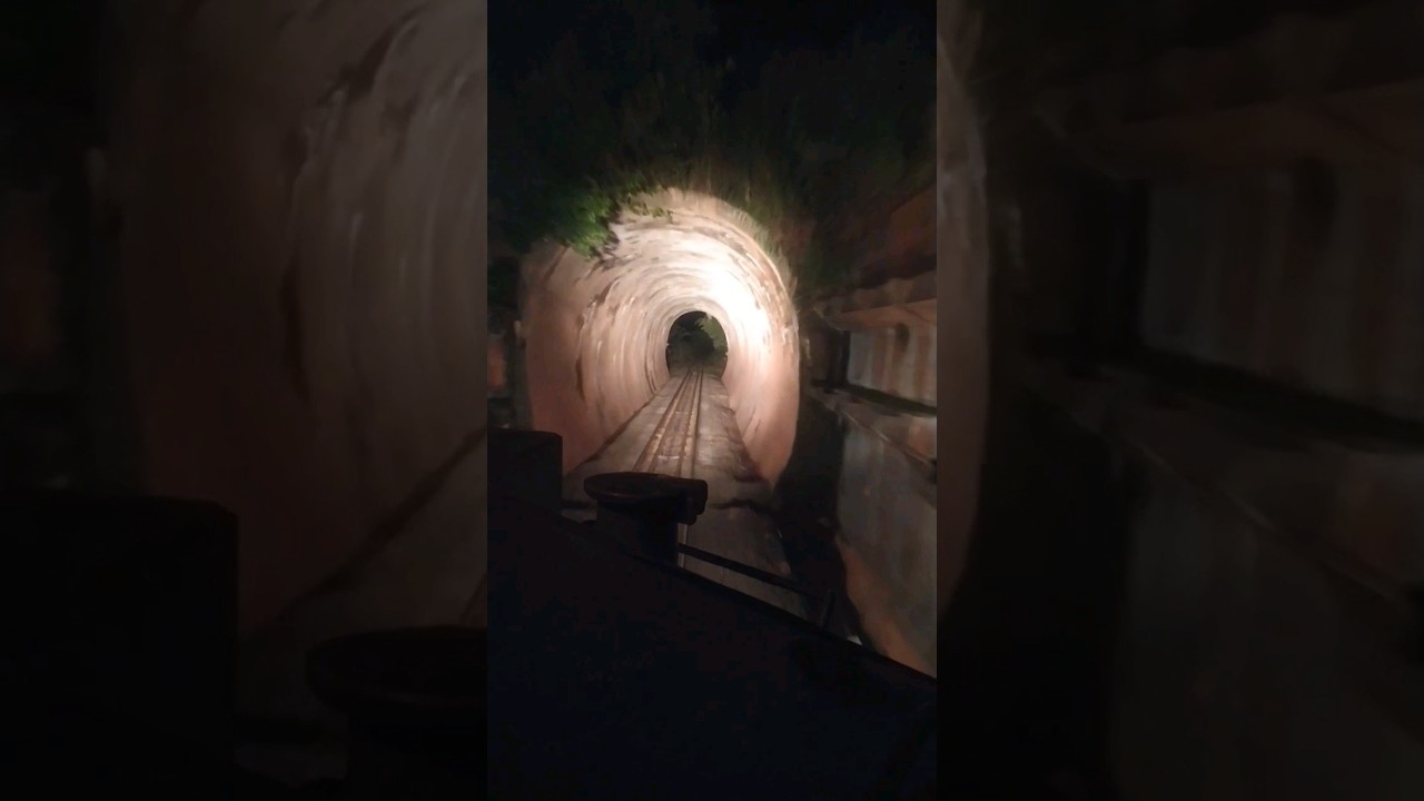 &Eacute; um prazer compartilhar essas imagens com vcs. #trem #railway #ferrovia #asmr