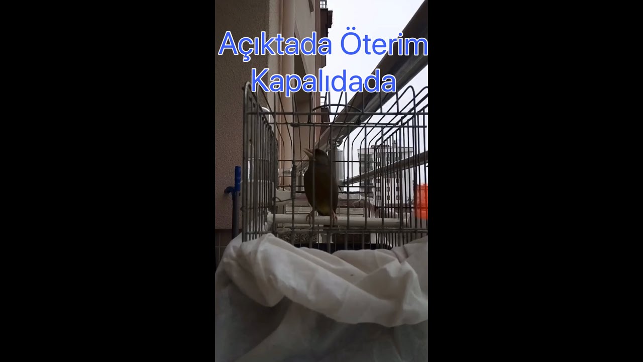 Florya Ötümü Dinle