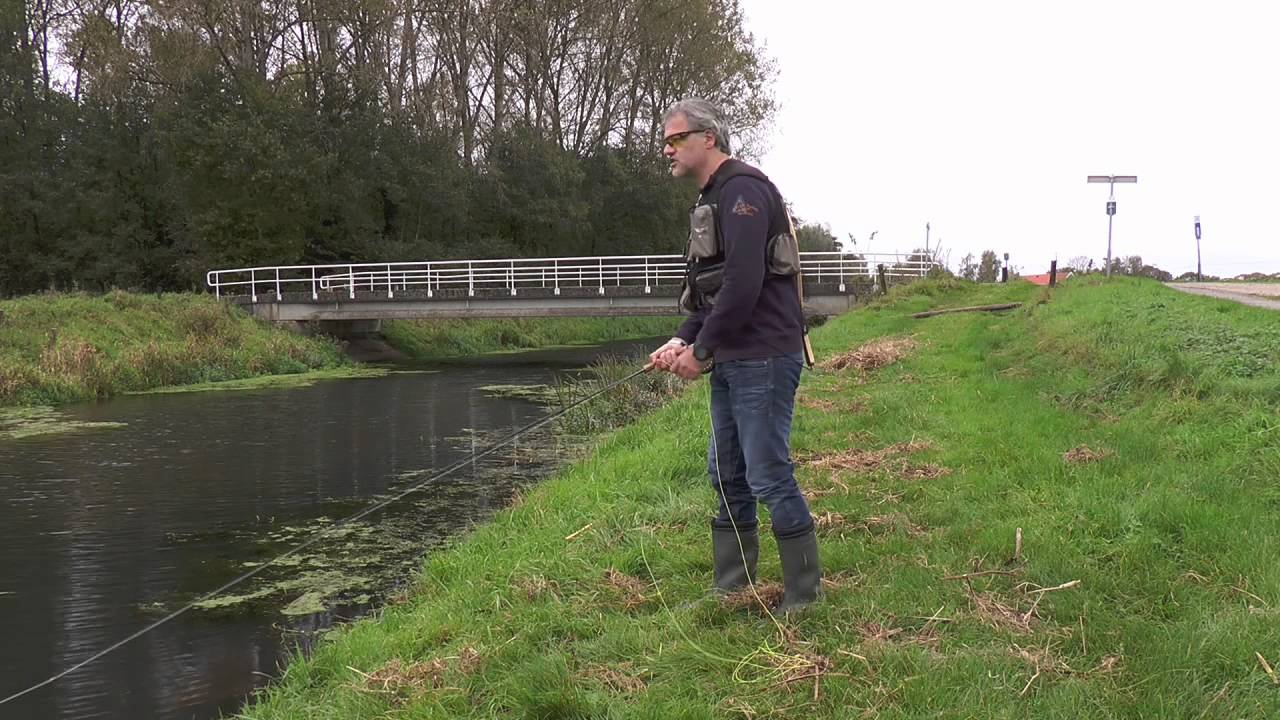 Reportage Vliegvissen