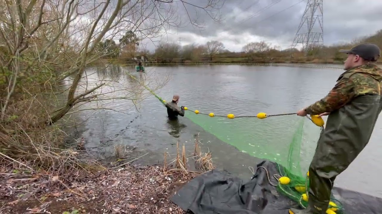 What a Perch!💪🎥📸Little Warren/Match Lake netting.