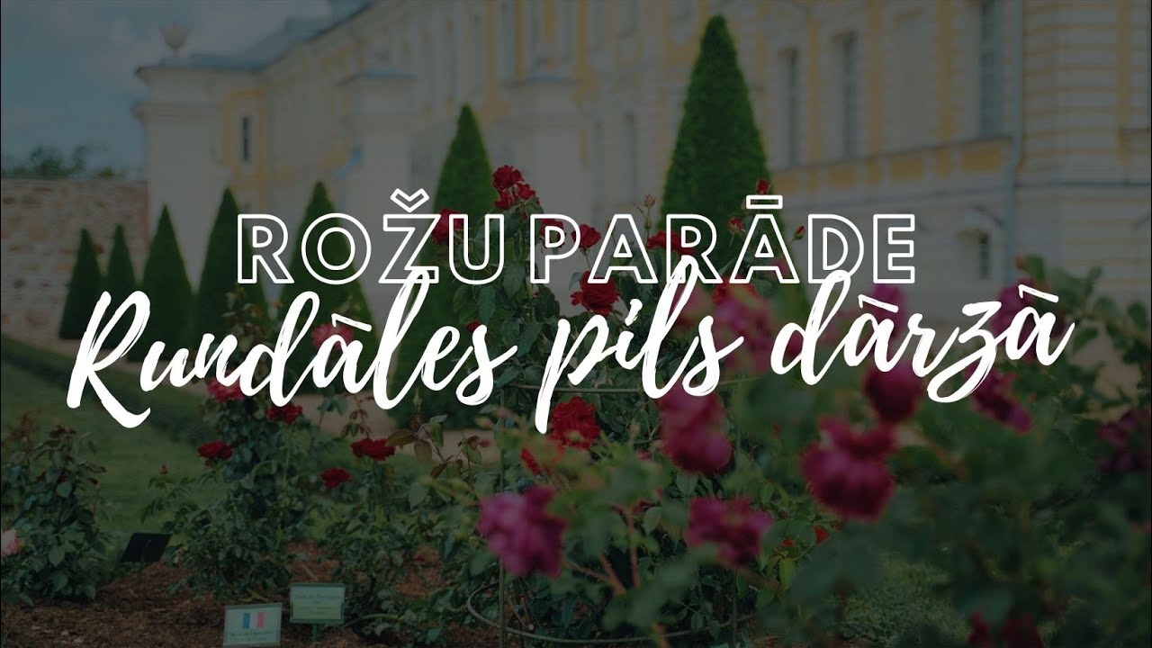Rožu parāde Rundāles pils dārzā