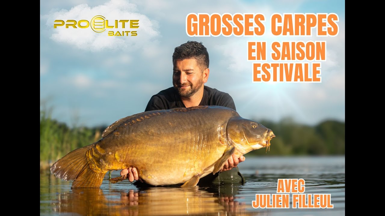 GROSSES CARPES EN SAISON ESTIVALE / AVEC JULIEN FILLEUL / PROELITEBAITS FRANCE 🇫🇷