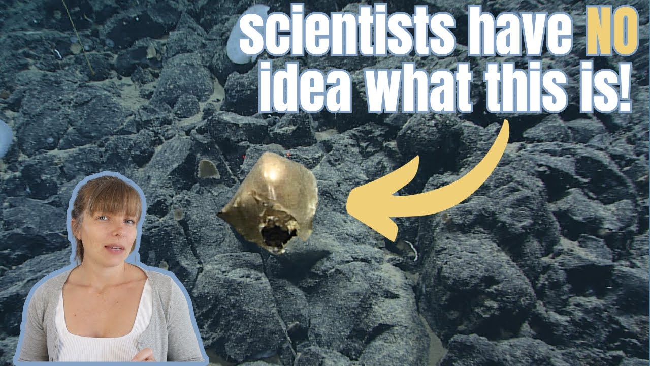 Spooky deep sea mystery [The golden orb]