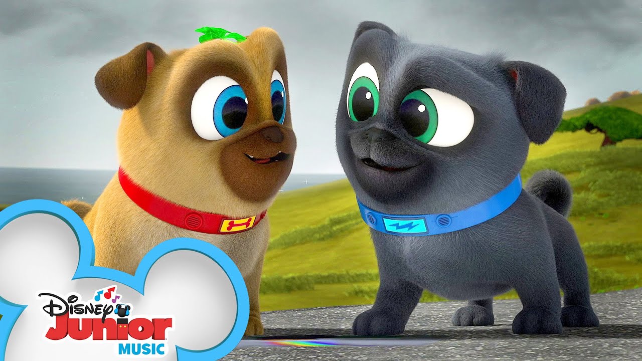 Looking For a Rainbow 🌈| Music Video | Puppy Dog Pals | Disney Junior