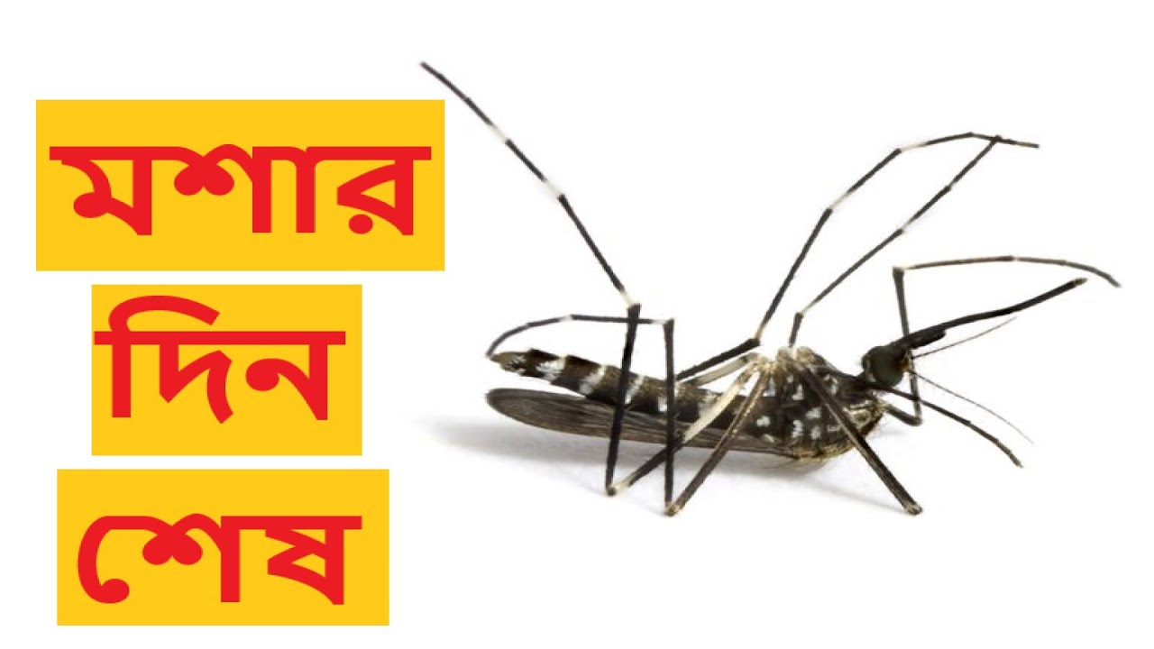 মশার দিন শেষ। মশা মারতে আর লাগবেনা কামান। Mosquito Killer Price BD । Sohojbuy