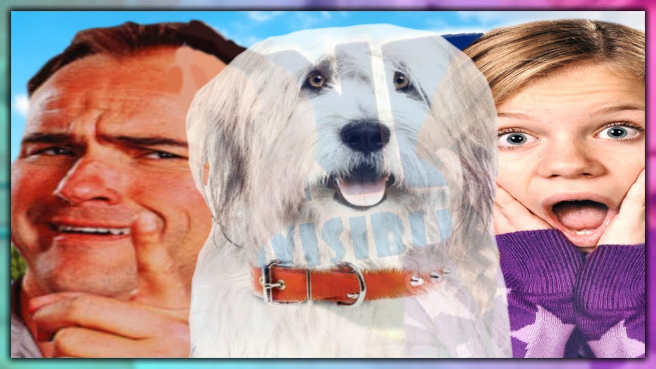 Abner, The Invisible Dog l Kshot