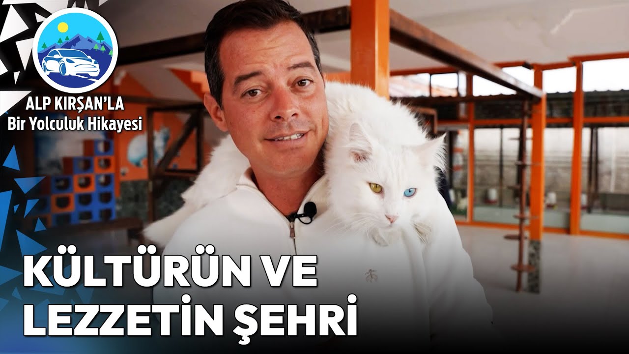 Kedileri Gibi Eşsiz Bir Şehir: Van | Alp Kırşan'la Bir Yolculuk Hikayesi