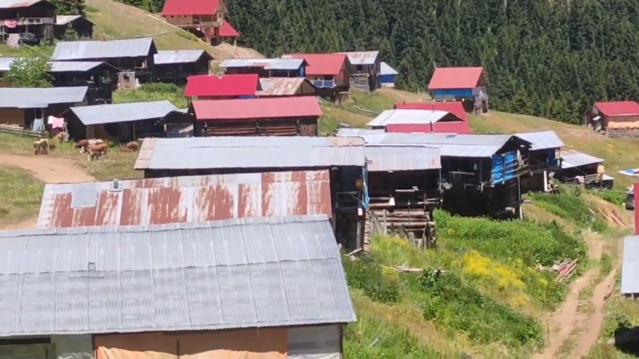 28 Haziran 2025 Akdamla Köyü Yaylasında ilk gün video 1 .Kamera Çekimi Serdar Eniş