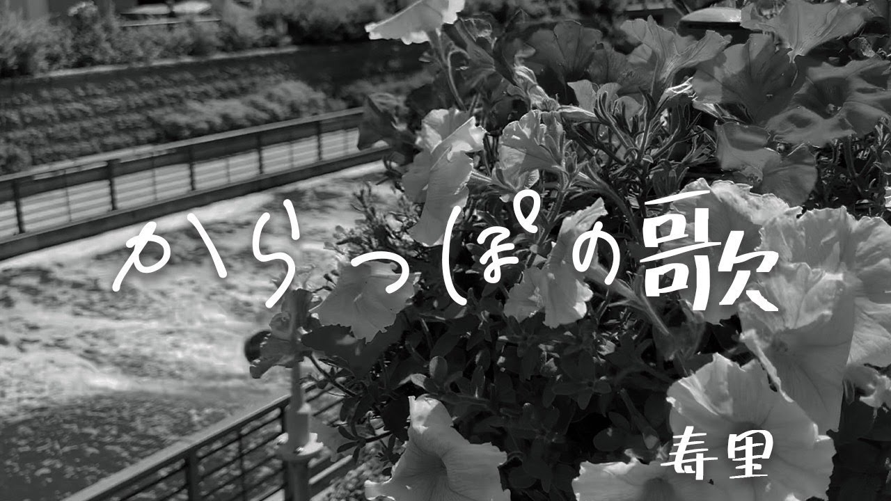 MV「からっぽの歌」寿里
