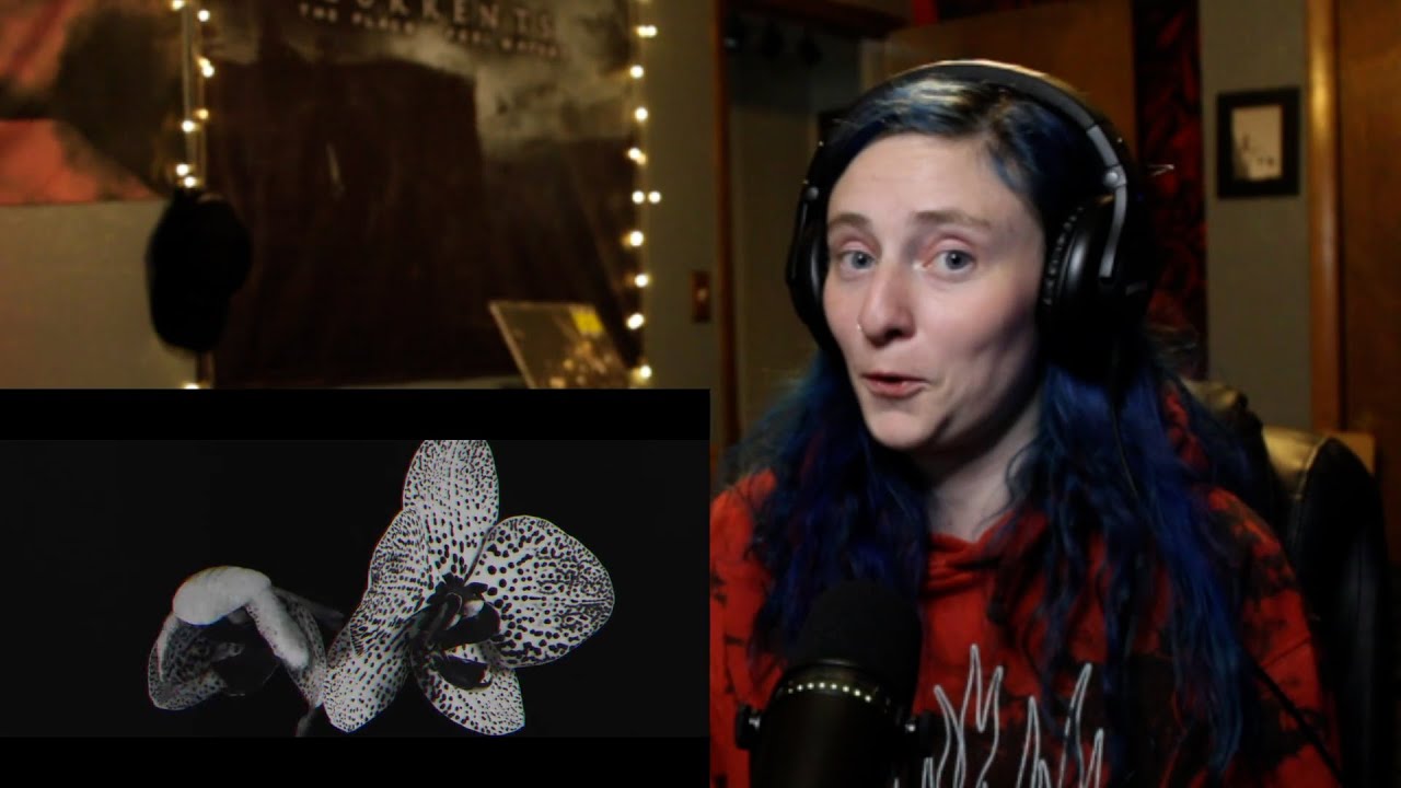 CANE HILL - 'Blood & Honey: Part I' - REACTION/REVIEW
