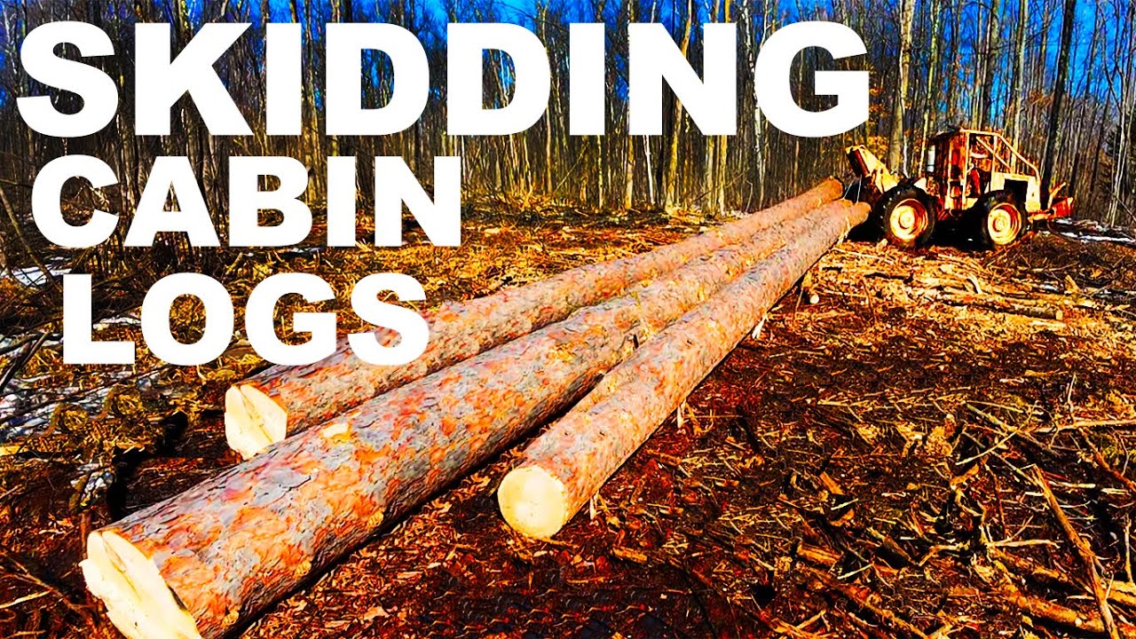 OLD MACHINES AND OLD MEN LOGGING...C 4 TREE FARMER POLE SKIDDER !