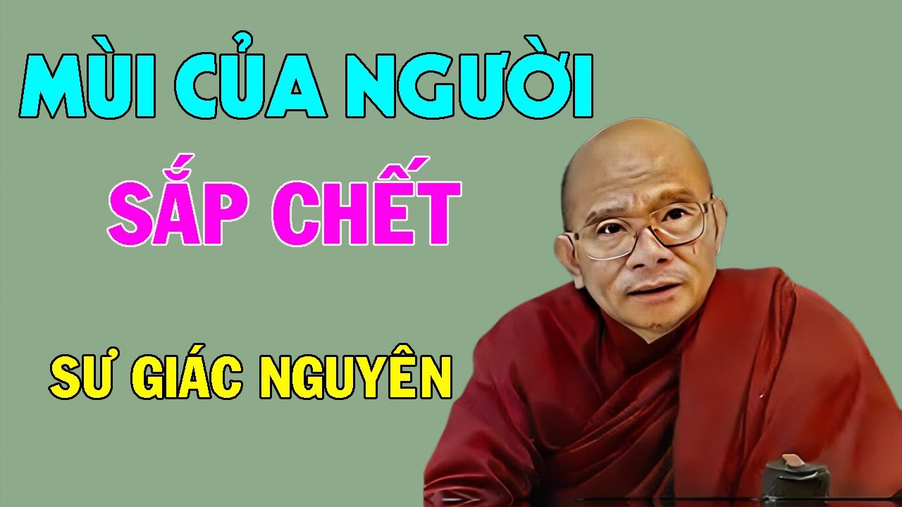 Mùi Của Người Sắp Chết | Sư Giác Nguyên | Sư Toại Khanh