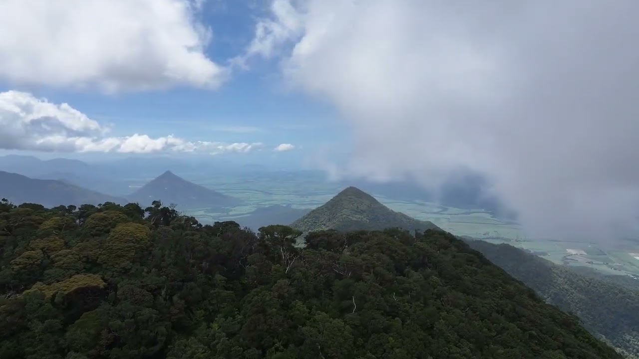 The summit of the North peak Bellenden Ker FNQ