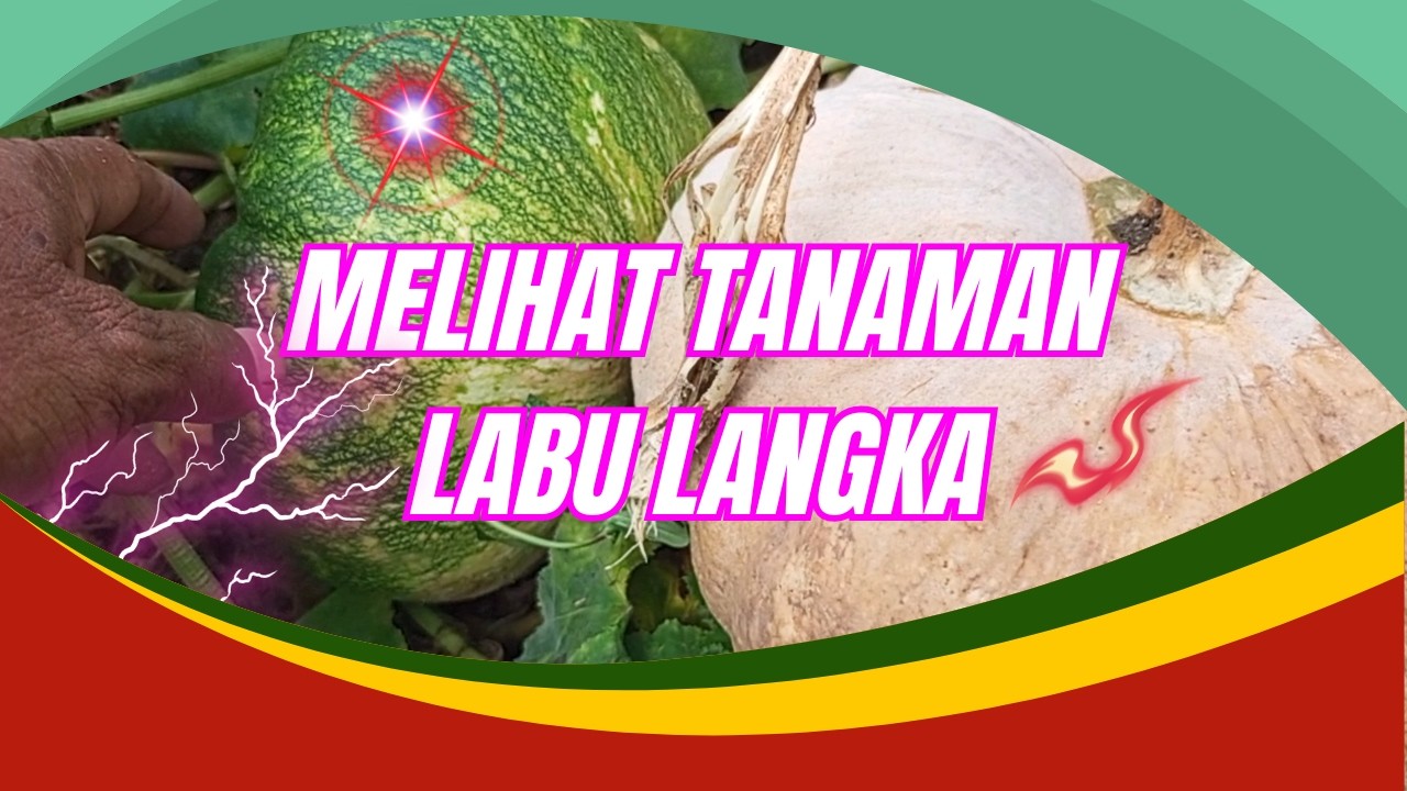 TASYA ROSMALA - TAJAMNYA KARANG, CINTA DAN AIR MATA || OM ADELLA FULL ALBUM TERBARU 2025