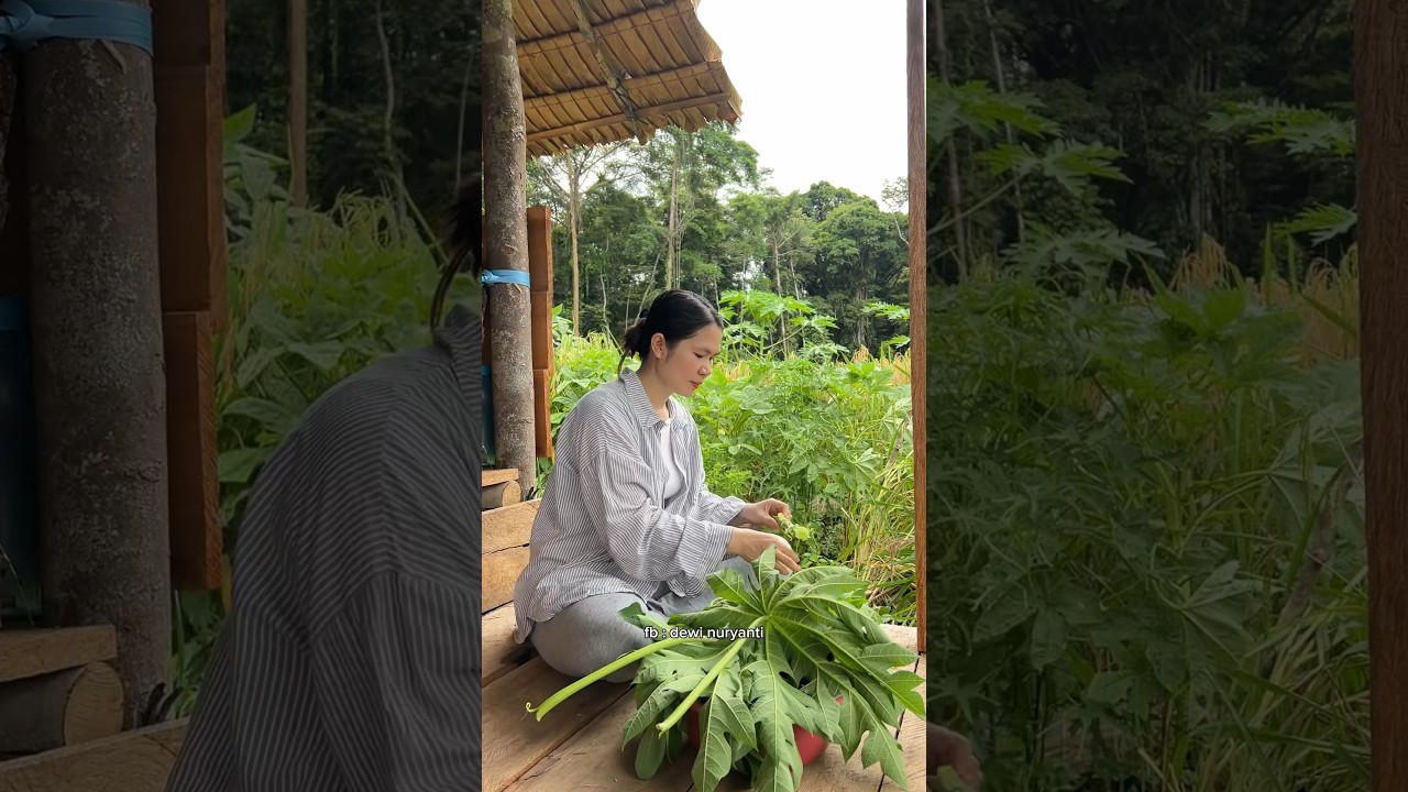 masak di ladang selain hasil petikan ada rica keong dan ayam
