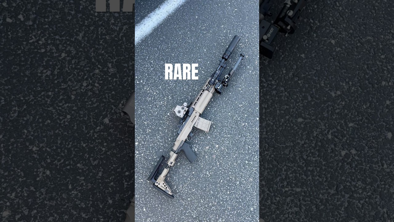 Bet you haven&rsquo;t seen one of these. Suppressed Mini 14 in a real Sage EBR chassis.