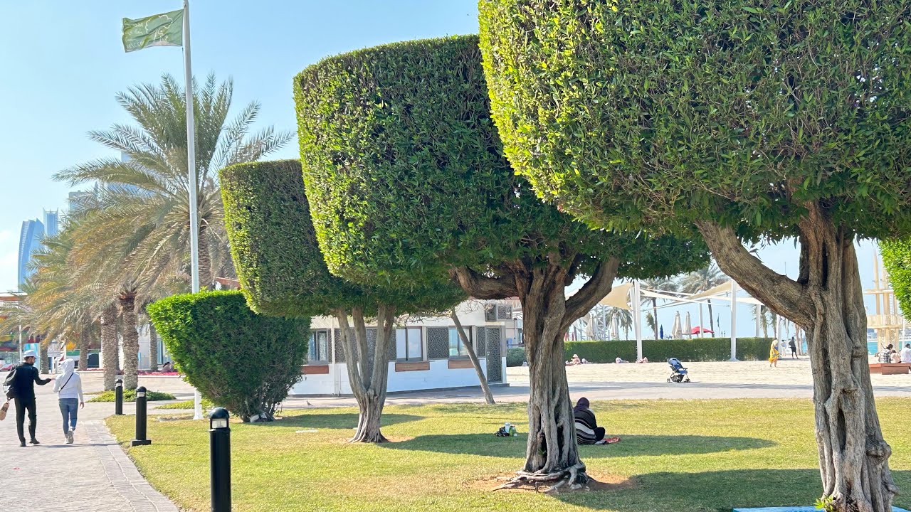 Абу Даби Янврь🌴Corniche Beache.Пляж с белым песком), и Шопинг в Абу Даби Марина