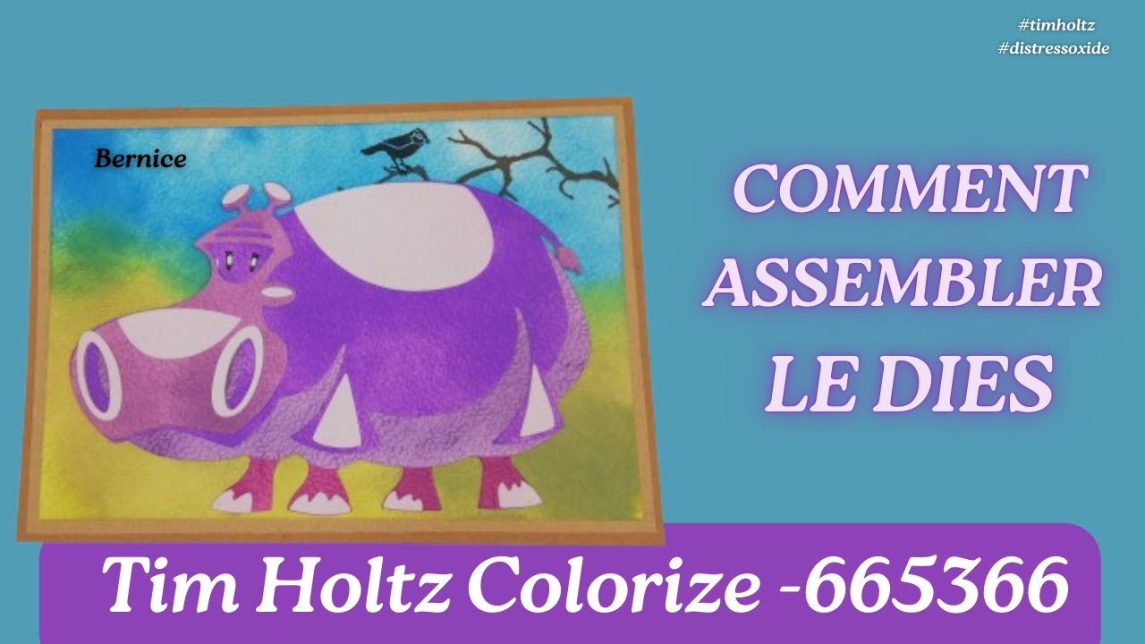DIE #sizzix #timholtz COLORIZE 665366 l'HIPPOPOTAME Bernice : Les Secrets d'un Assemblage Réussi
