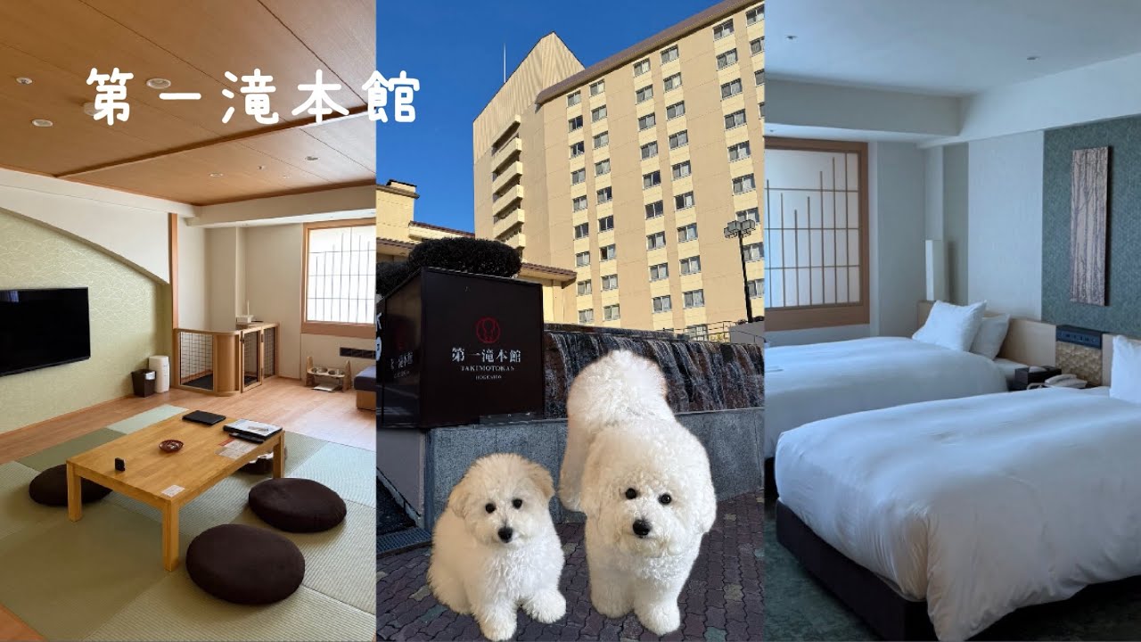 1泊30000円以上の豪華ホテルに犬と泊まってきた✨️✨️✨️