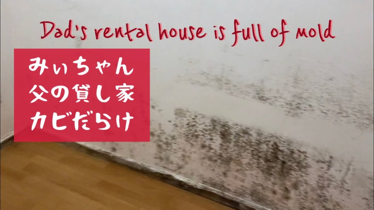 カビだらけの貸家　掃除