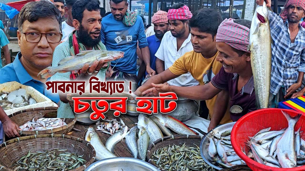 দেশি মাছের হাঁকডাকে সরগরম! চলন বিলের ঐতিহাসিক বেড়া চতুর হাট