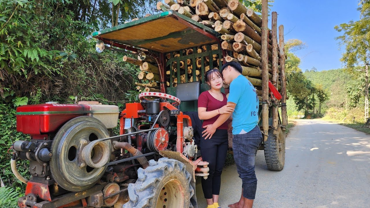 Agricultural vehicles transporting timber, transporting acacia wood to the timber factory