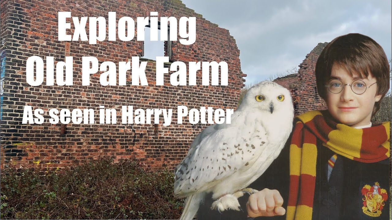 Exploring a Harry Potter Filming Location | Old Park Farm #harrypotter 
