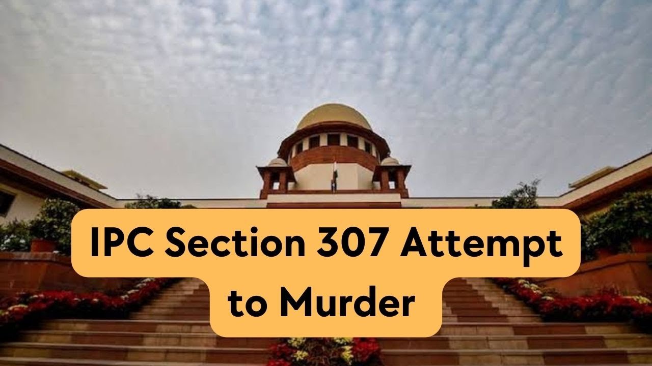 IPC 307 In Hindi| Dhara 307 kya hai | Section 307 IPC in Hindi
