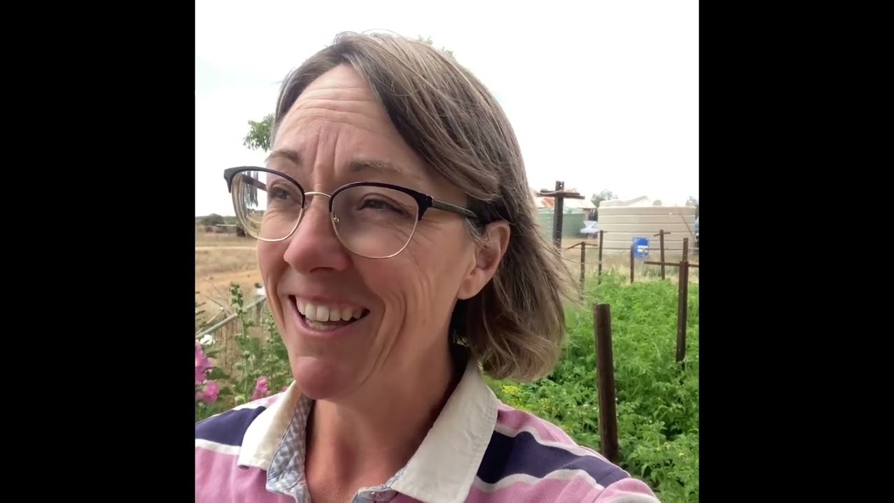 Garden Update SA Riverland Farming with the Olly&rsquo;s