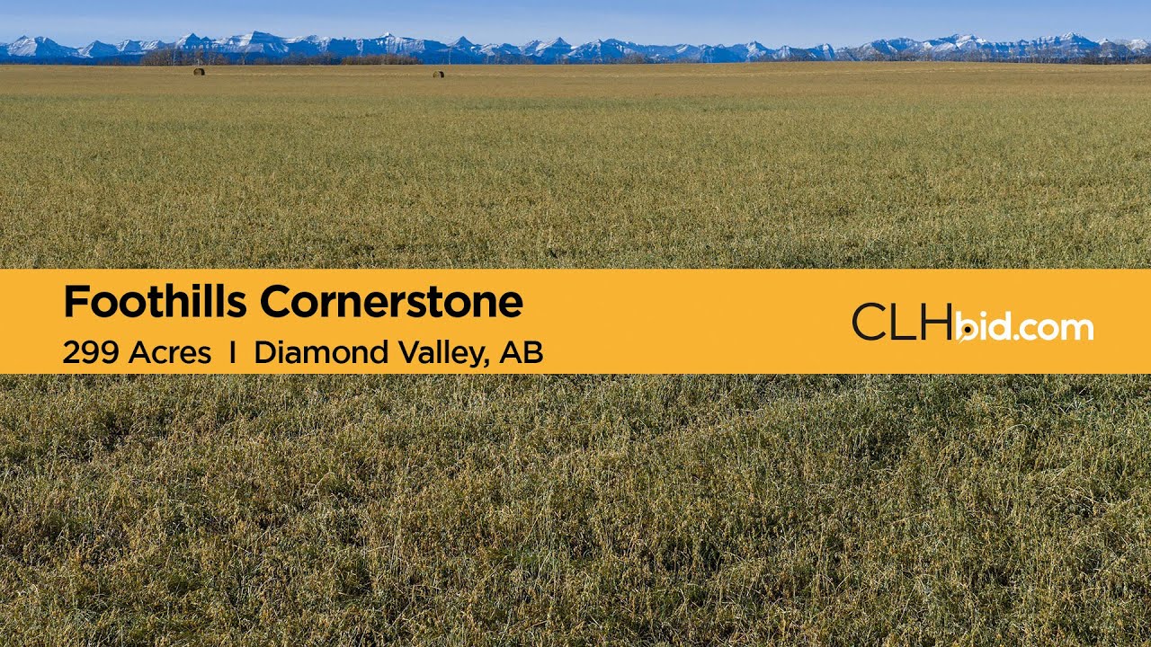 Foothills Cornerstone I AB Farm Land For Sale I Diamond Valley, AB